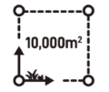 Rollers category